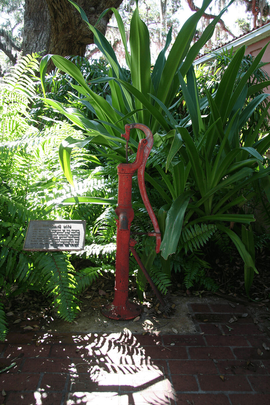 Things To Do Safety Harbor Chamber of Commerce