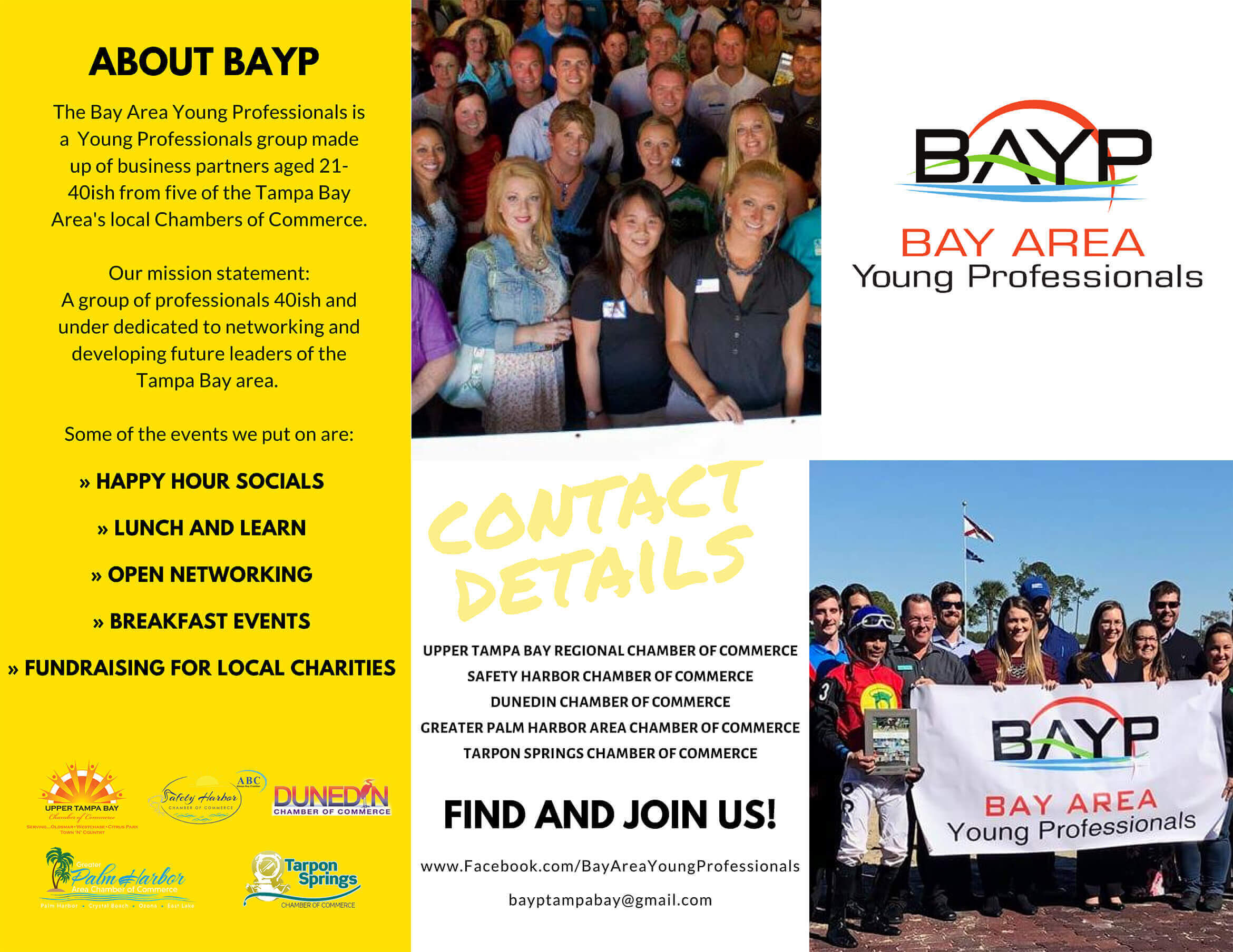 Bay Area Young Professionals Safety Harbor Chamber of Commerce
